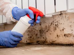 Best Asbestos and Lead Testing During Mold Inspection  in Tappan, NY